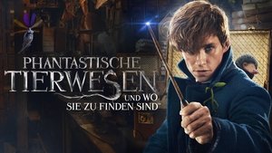 Fantastic Beasts and Where to Find Them (2016)