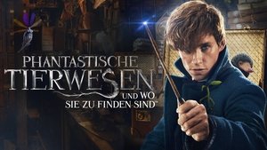 Fantastic Beasts and Where to Find Them (Hindi Dubbed)