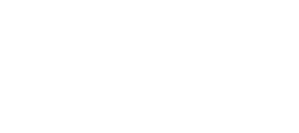 Miss Agente Especial 2: Armada y fabulosa — Logos 11