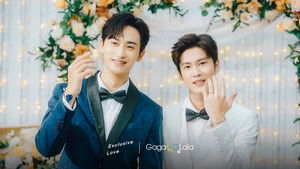 Exclusive Love: 1×12 {year} Online En Netflix