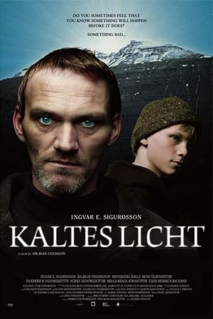 Poster Kaltes Licht 2004
