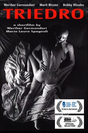 Poster Triedro (2000)