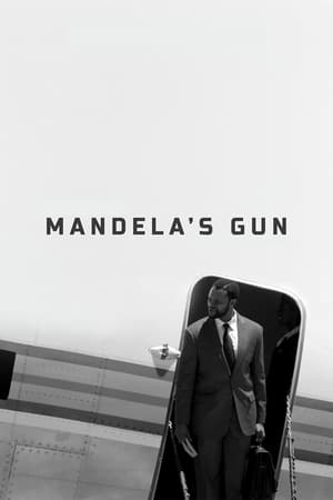 Poster Mandela's Gun (2016)