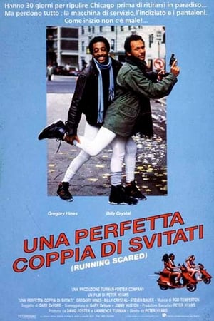 Una perfetta coppia di svitati 1986