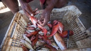 Anthony Bourdain: Parts Unknown: Season 3 Episode 8