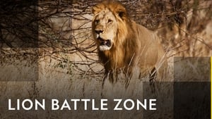 Lion Battle Zone film complet
