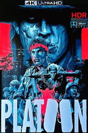 poster Platoon