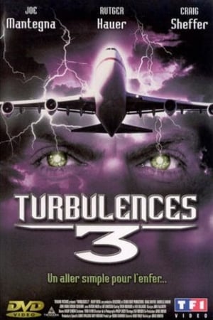 Turbulences 3 (2001)