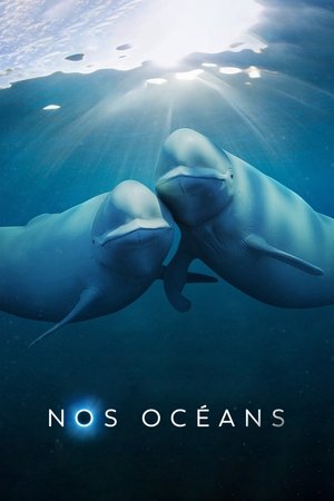 Nos océans movie poster