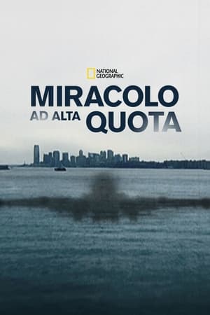 Poster Miracolo ad alta quota 2014