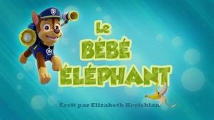 Le Bébé éléphant