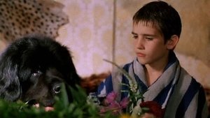 The Boy with the Big Black Dog film complet