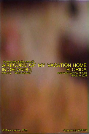 A Record Of My Vacation Home In Orlando, Florida
