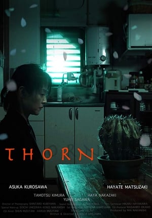 Poster THORN 2015