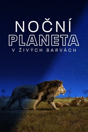 Poster Noční planeta v živých barvách 2020