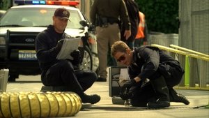 CSI: Crime Scene Investigation: 10×19