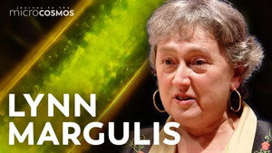 The Complicated Legacy of Lynn Margulis still