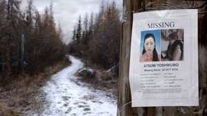 The Missing Tourist