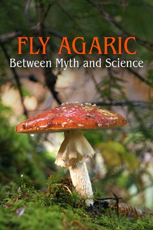 The Fly Agaric