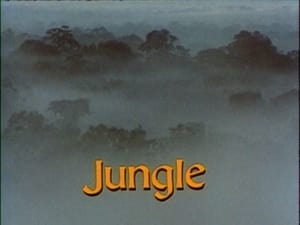 The Living Planet Jungle