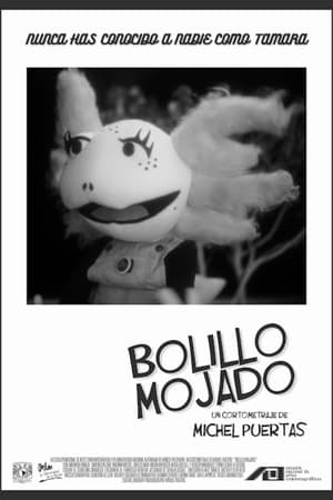 Image Bolillo mojado