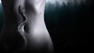 фото  - Смотреть Гадюки бесплатно онлайн на Lord-Filmy