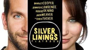 Silver Linings Playbook 2012