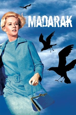 Image Madarak