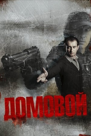 Poster Domovoy 2008