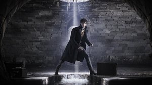 Animais Fantásticos: Os Crimes de Grindelwald