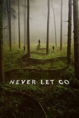 Image Never Let Go