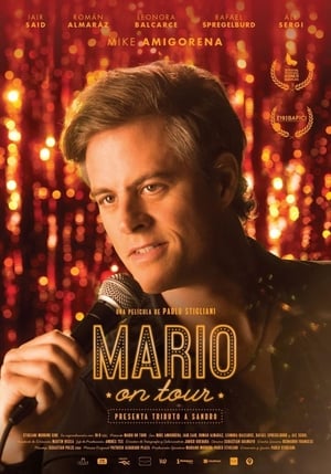Poster Mario on Tour 2017