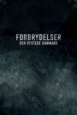 Image Forbrydelser der rystede Danmark