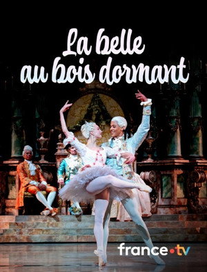 La Belle au Bois Dormant 9