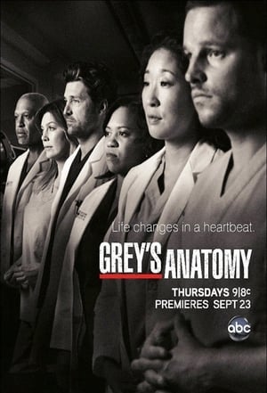 poster Grey's Anatomy - Season 8