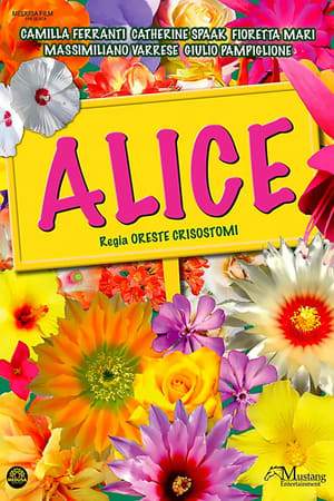 Poster Alice 2010