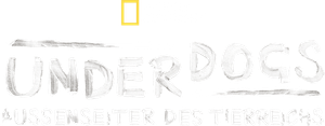 Underdogs — Logos 7