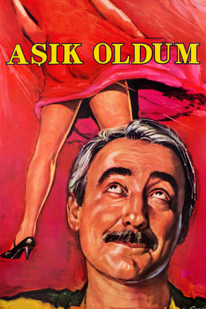 Poster Aşık Oldum 1985