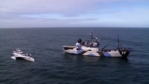 Whale Wars: Viking Shores Collision Course
