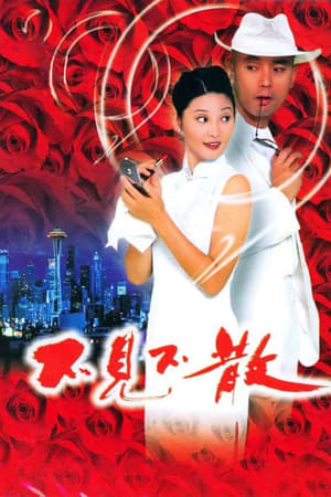 Poster 不见不散 1998