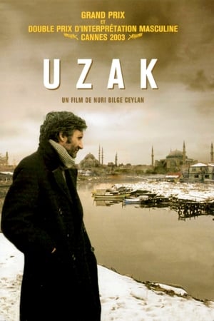 Poster Uzak 2002