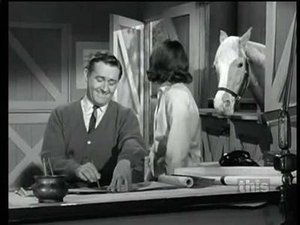 Mr. Ed: 2×26