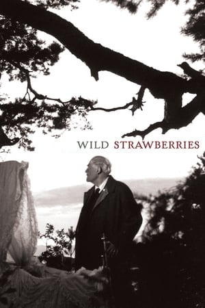 Image Wild Strawberries