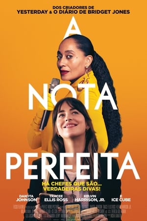 A Batida Perfeita - Poster