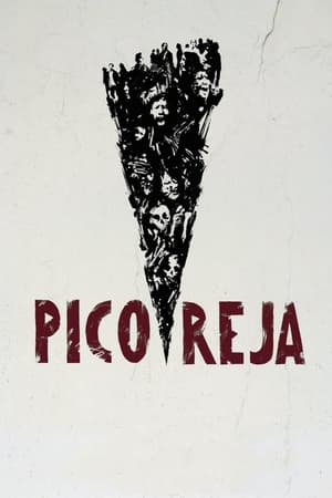 Poster Pico Reja: la verdad que la tierra esconde 2022