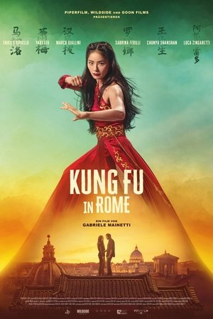 Image Kung Fu in Rome