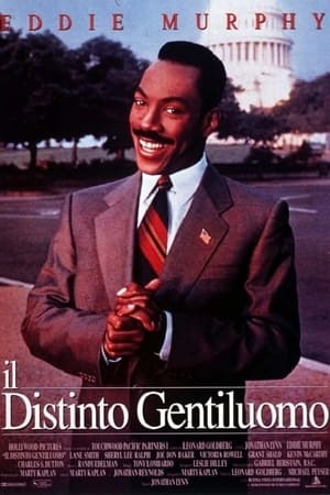 Poster di Il distinto gentiluomo