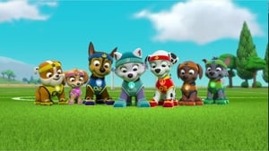 Paw Patrol