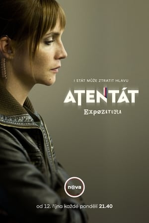 Atentát poster