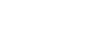 The Invincible Armour — Logos 3